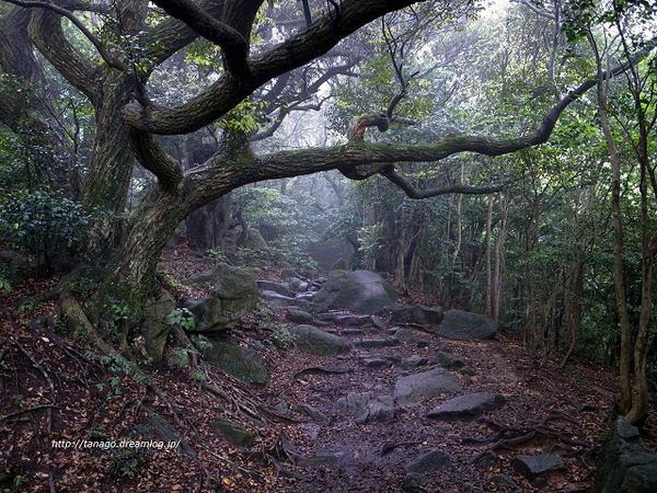 宝満山2