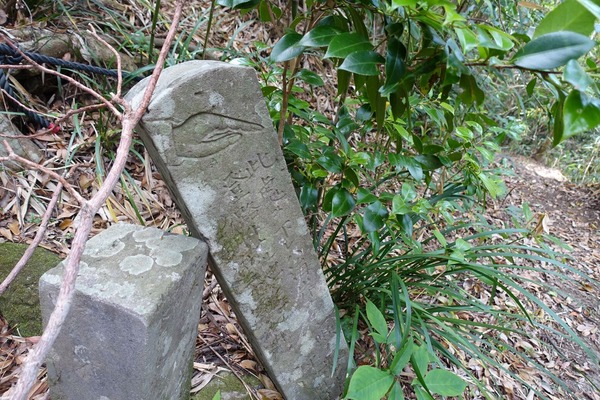 13048fab5c4a4de68ea431ed8e29b135