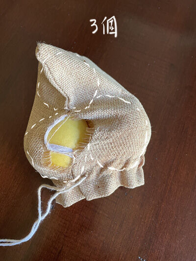 2023-09-28-pear1