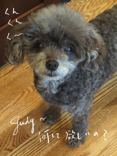 2021-07-07-judy1