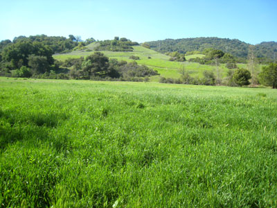 2013-11-19-rancho7