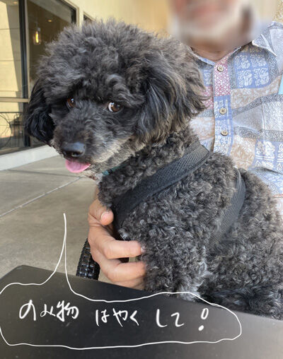 2024-06-15-fathersday5