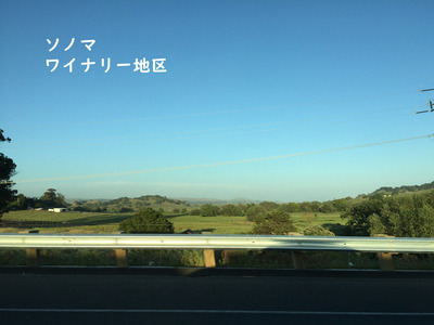 2019-06-04-way6