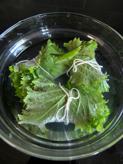 2023-07-04-shiso2