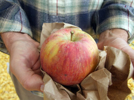 2011_11_29_apple