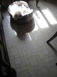 2010_02_20_chibi3