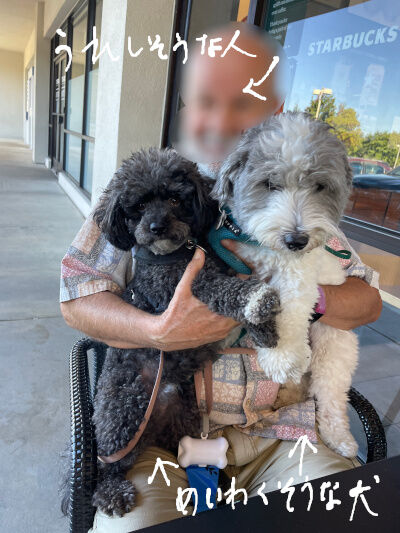 2024-09-29-twodogs1