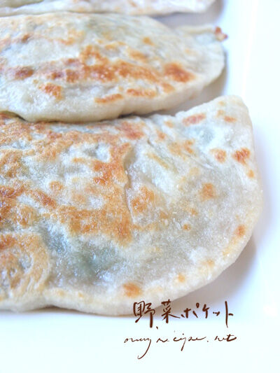 2024-06-19-veggiepocket3