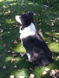2011_09_09_katy2