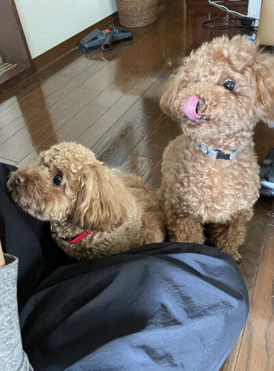 2023-05-27-choco2