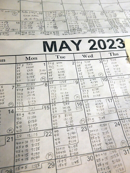 2023-07-03-rasta1