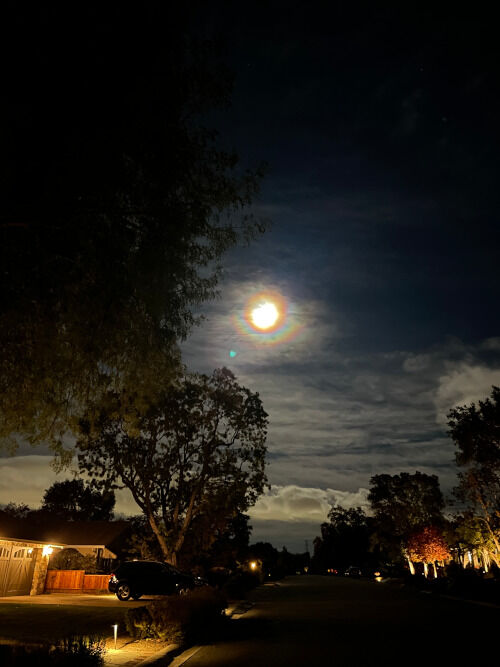 2025-11-04-nightwalk2