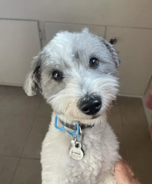 2026-09-28-charlie6