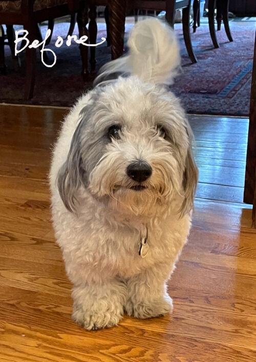 2026-09-26-charlie