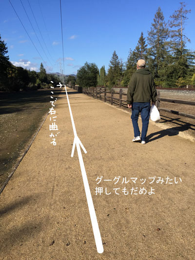 2019-01-13-jogger1