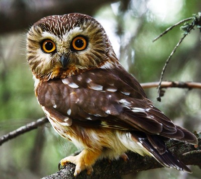 1E1F1C91-AA5C-405D-A823-F793B7CF5A7C