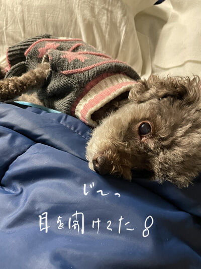 2021-12-20-judy1