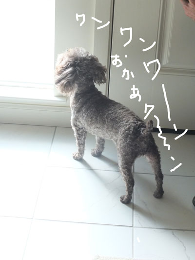2019-11-25-judy2