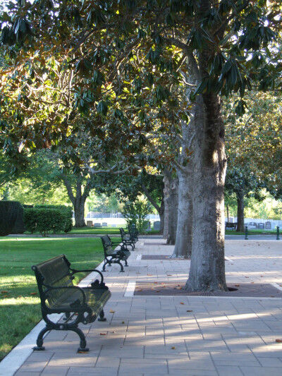 2025-01-30-cemetery4