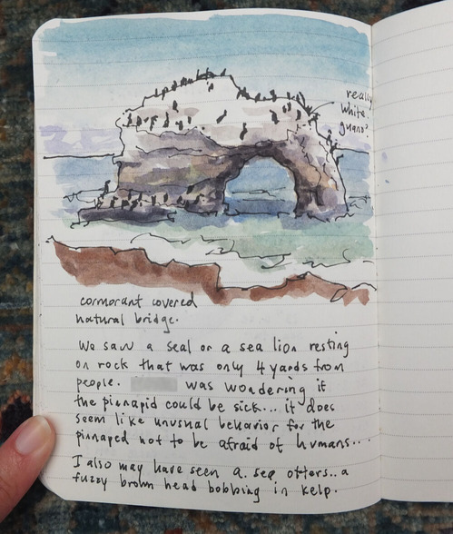 2025-07-23-santacruz9