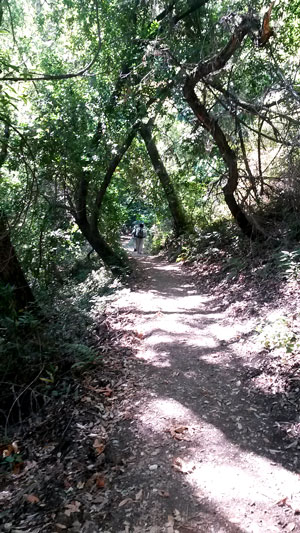 2016-07-21-montalvo5