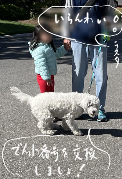 2022-04-01-walk5