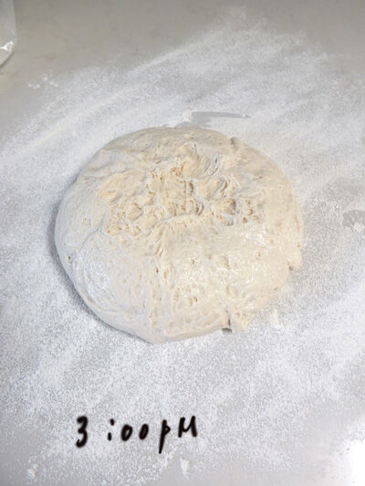 2024-08-01-ciabatta15