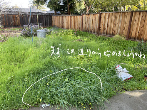 2023-02-23-yard3