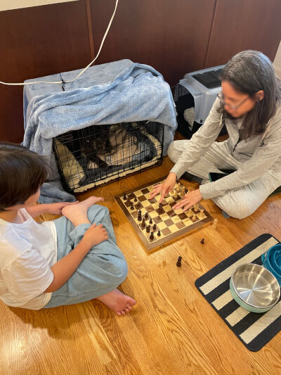 2026-07-20-chess