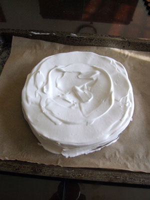 2013-12-02-pavlova8