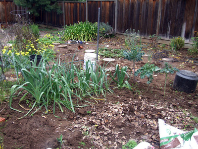 2014-03-02-garden2