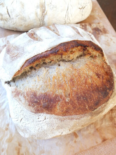 2025-08-18-sourdough6