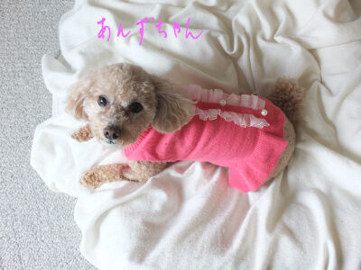 2024-08-26-anzu