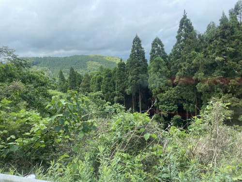 D248554D-537C-4A68-B7D6-D005D5ACB199