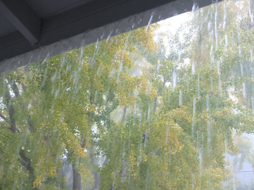 2024-11-11-rain2