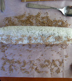 2013-06-02-seeds1