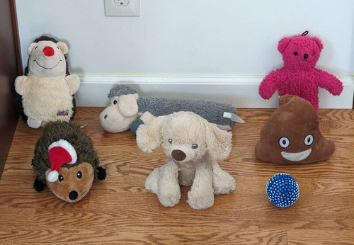 2024-01-09-kids6