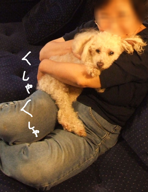 2018-02-24-chibi3