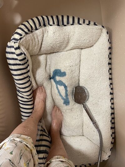 2024-08-09-bed2