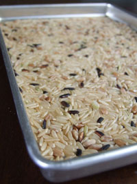 2012_04_02-brownrice