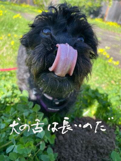 2025-03-25-kiki1