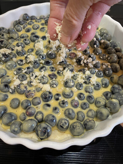 2023-03-12-blueberry4