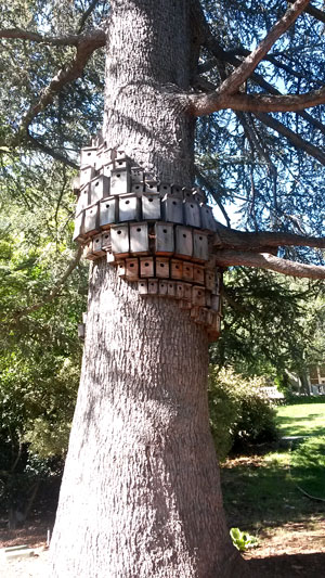 2016-07-21-montalvo2
