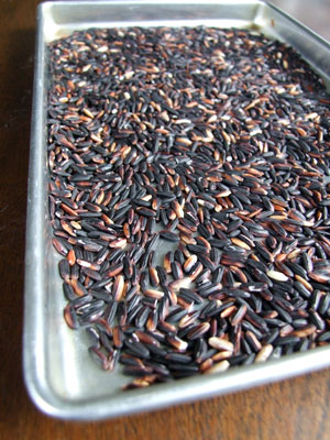 2012_04_02-blackrice