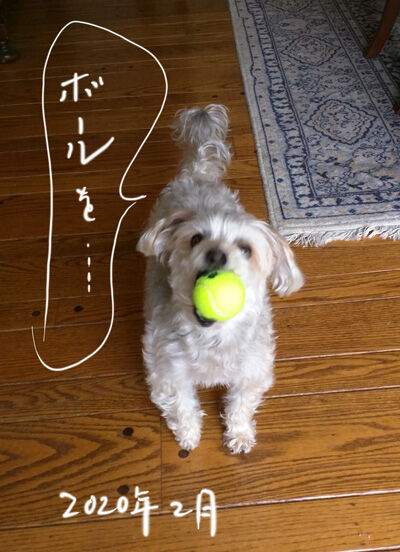 2023-01-26-rasta1