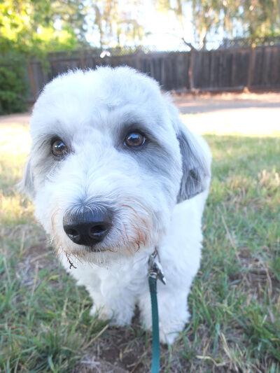 2025-08-09-charlie3