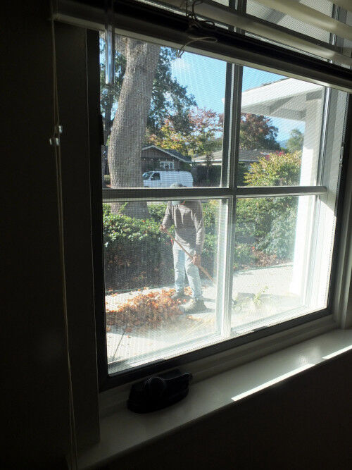 2025-11-07-gardener1