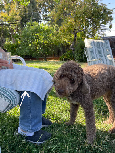 2025-06-23-blanket1