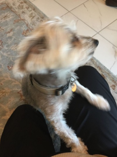 EA8F6233-CDE1-468A-8DF9-FC0234630D73