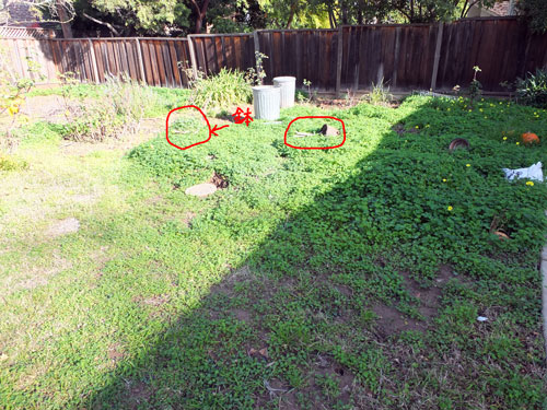 2018-01-13-yard1